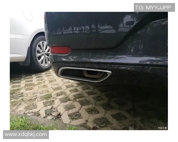 科学攀岩中的团队协作训练策略与实践探索